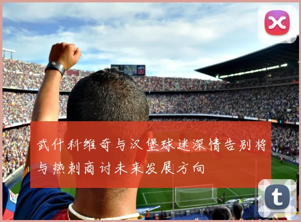 武什科维奇与汉堡球迷深情告别将与热刺商讨未来发展方向